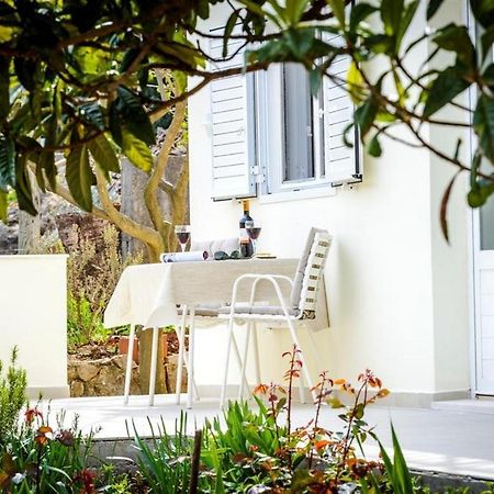 Guest House Rooms Rose Molunat Εξωτερικό φωτογραφία